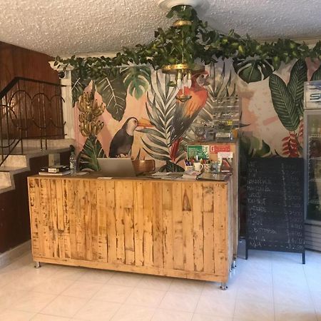Hostal Casa Paraiso Medellín Exteriör bild