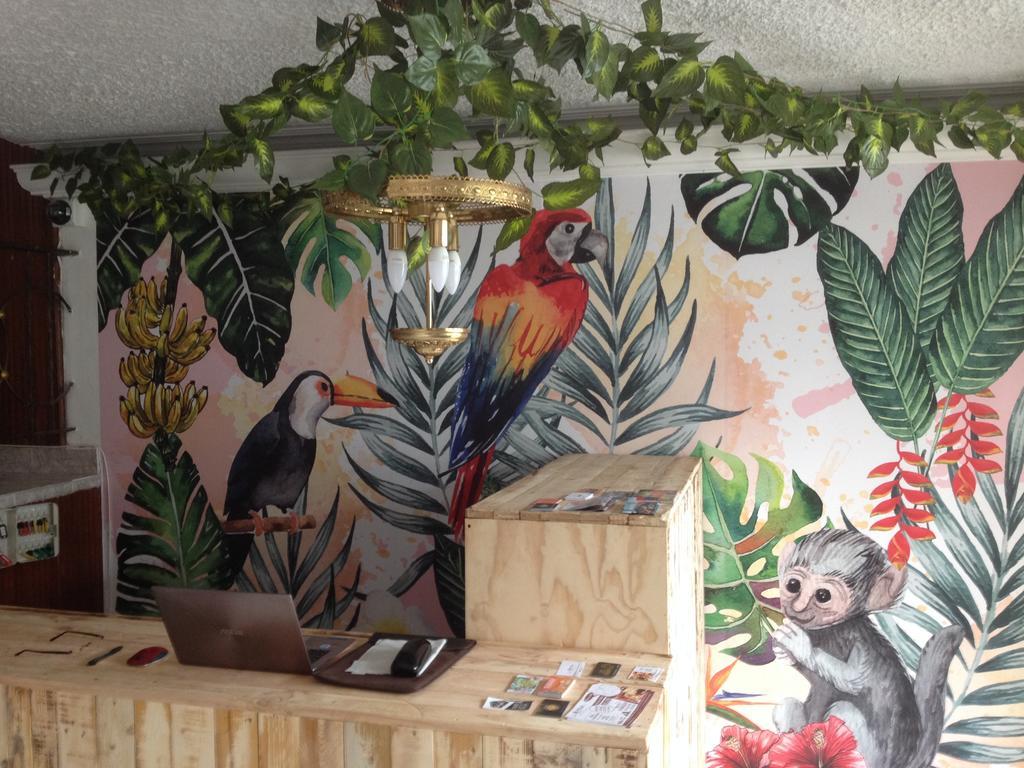 Hostal Casa Paraiso Medellín Exteriör bild